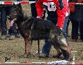 CANTO z Vodňanské doliny
