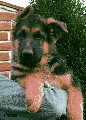 Rio z Krupičkova mlýna