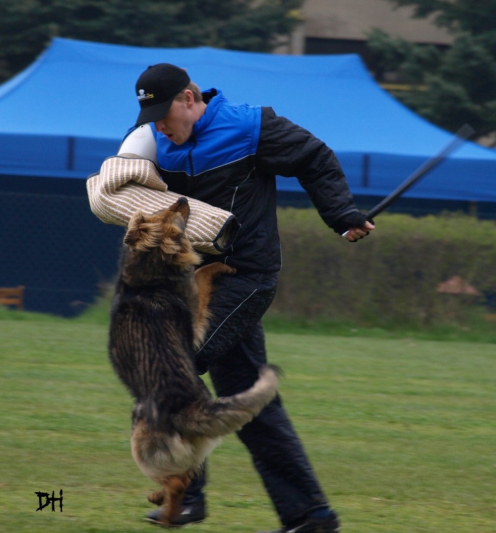 Ged�itka �t�hlou�