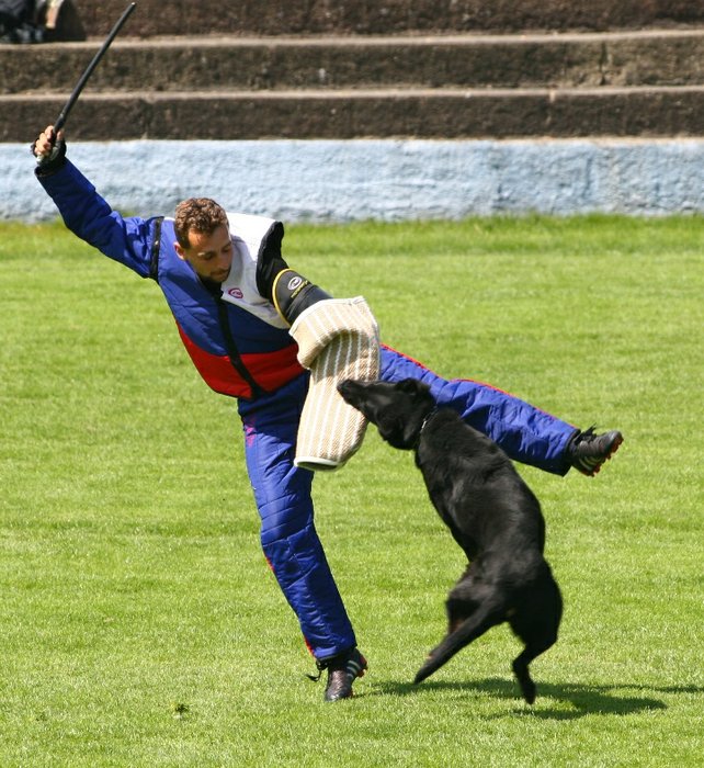 Dix z Perttskho mlna