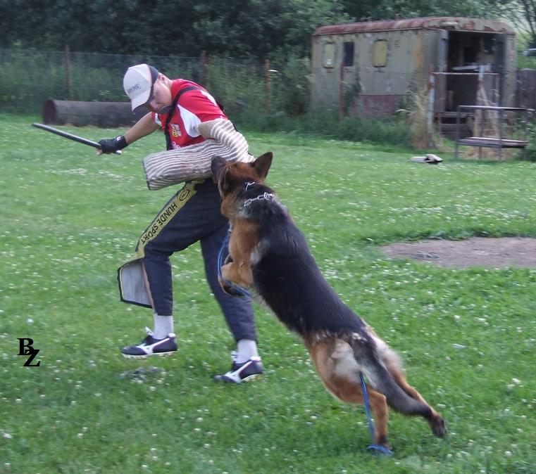 Cherokee Provocativo