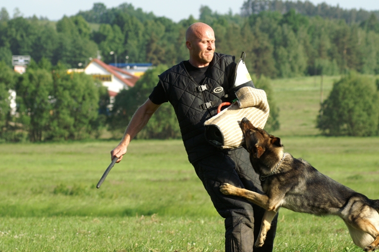 G�bi z Nov� po�ty