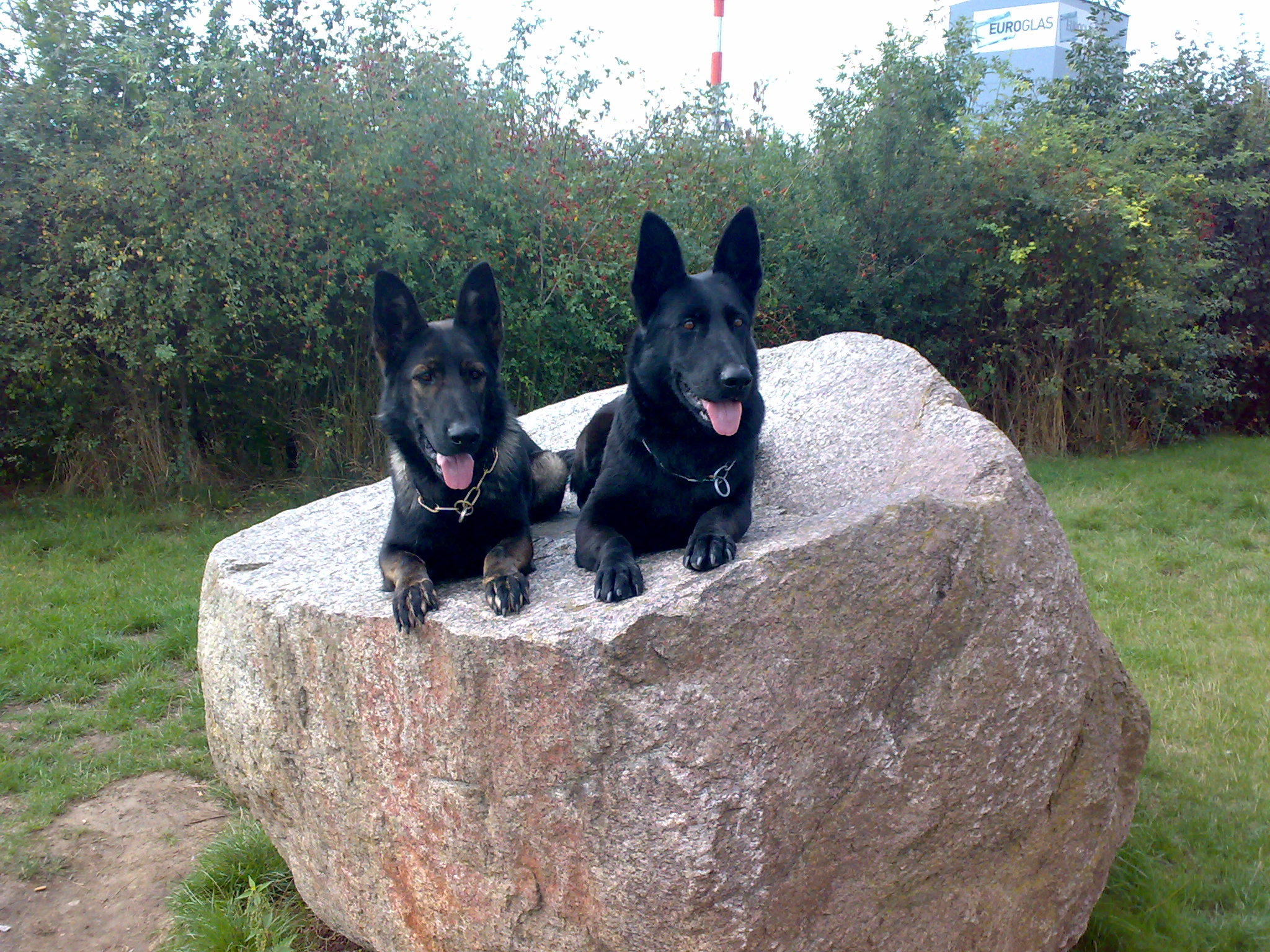 OLIV LERYKA A EMILKA ANREBRI