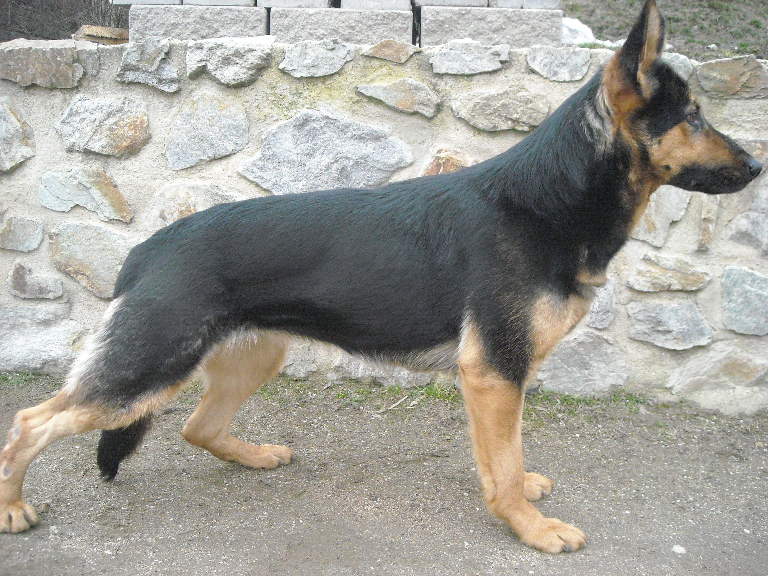 Briggi z Vodnansk doliny