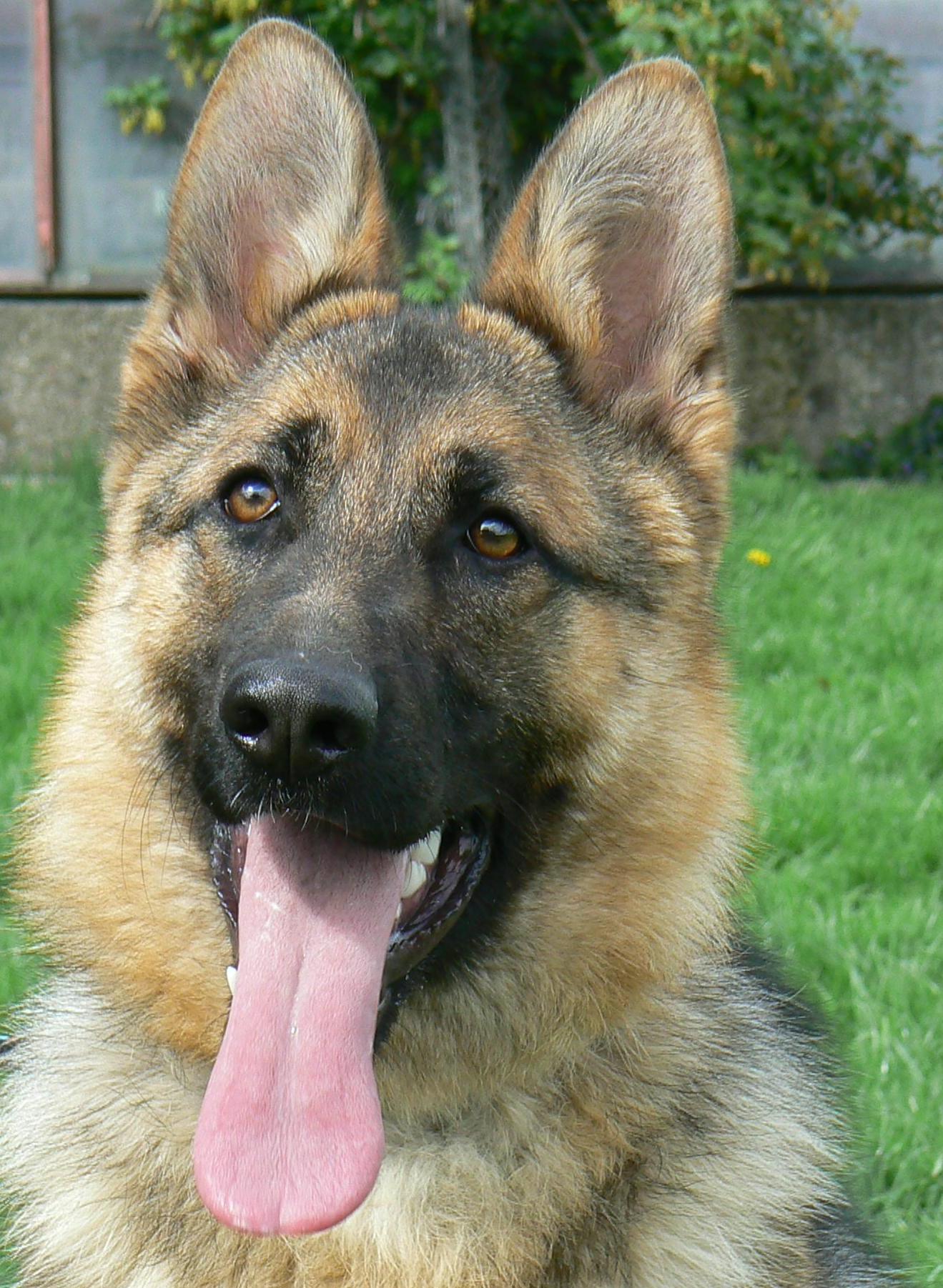 Kethy z Krupikova mlna