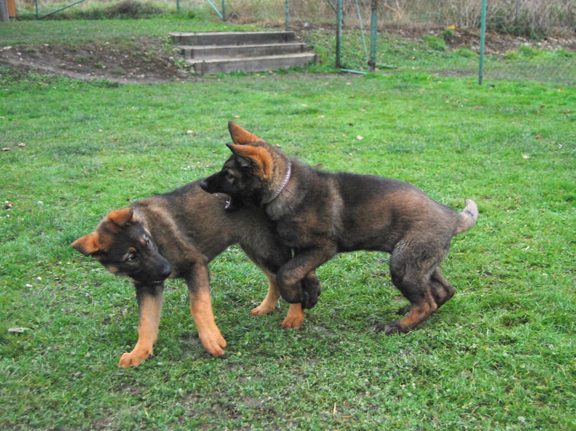 z Podhorsk�ch zahrad