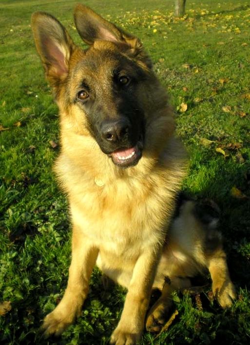 Mio z Krupi�kova ml�na