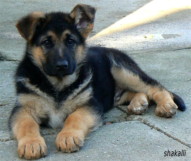 Orbit z Kupi�kova ml�na